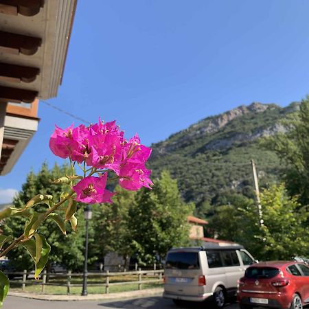 Cumbres De Los Picos Apartamento Los Abedules Poo  Eksteriør billede