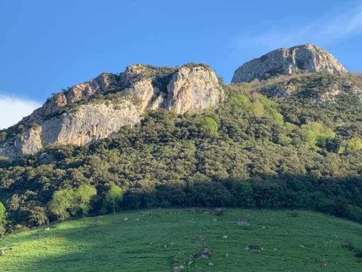 Cumbres De Los Picos Apartamento Los Abedules Poo  Eksteriør billede